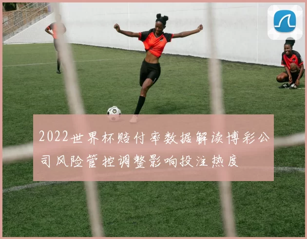 2022世界杯赔付率数据解读博彩公司风险管控调整影响投注热度