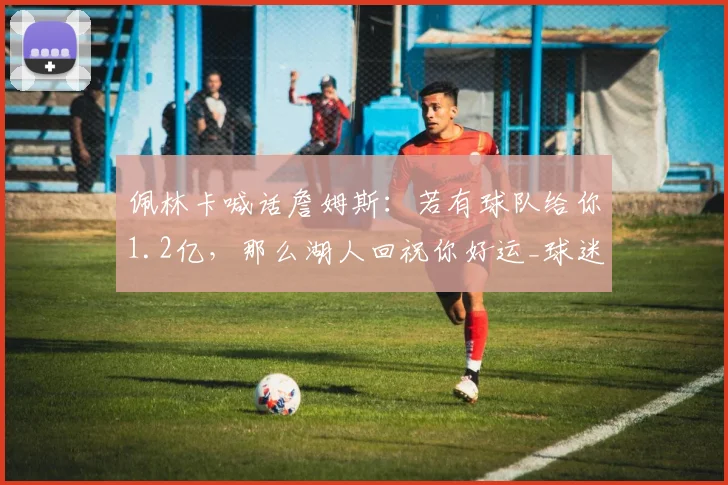 佩林卡喊话詹姆斯：若有球队给你1.2亿，那么湖人回祝你好运_球迷_紫金军团_舆论