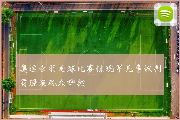 奥运会羽毛球比赛惊现罕见争议判罚现场观众哗然