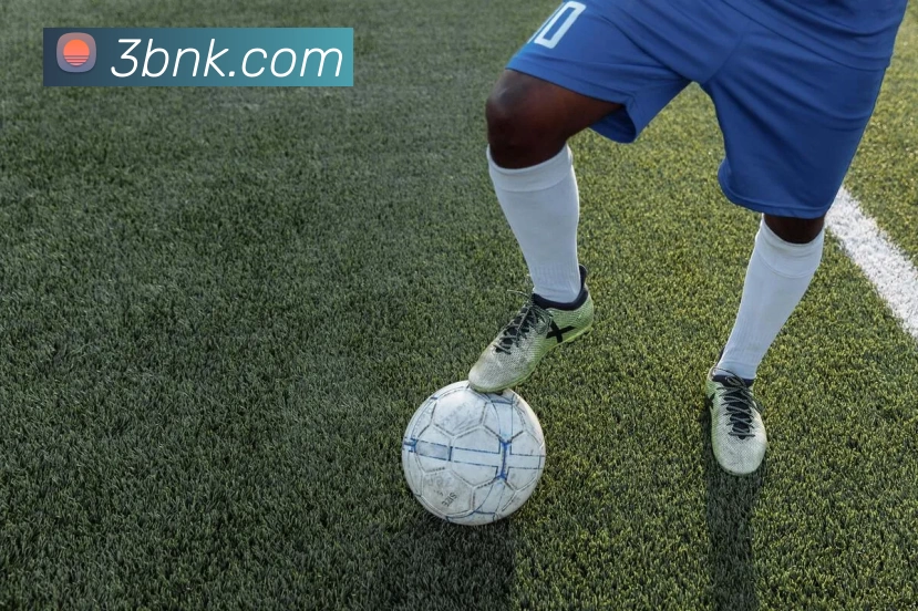 星空体育平台入口APP 封面图